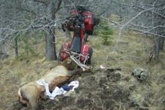 Le chasseur s'empale sur les bois de sa proie
